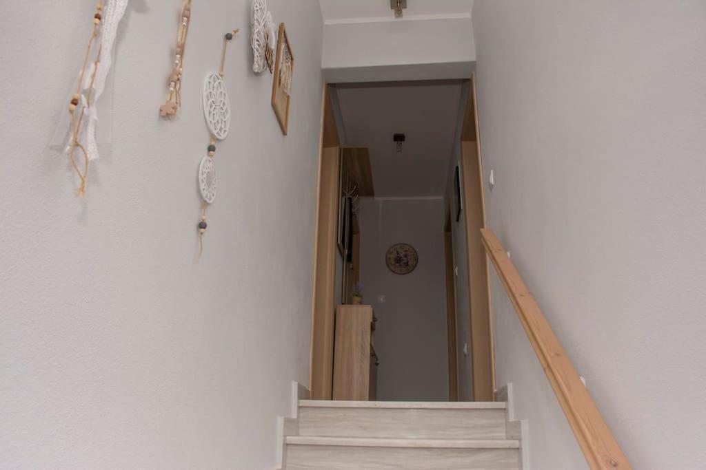 Apartament Anadora 2: Hospitable Stone House With Yard Aleksandropolis Zewnętrze zdjęcie