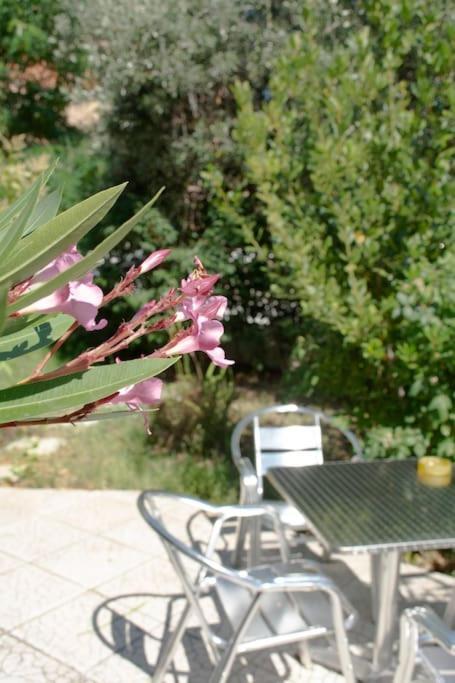 Apartament Anadora 2: Hospitable Stone House With Yard Aleksandropolis Zewnętrze zdjęcie