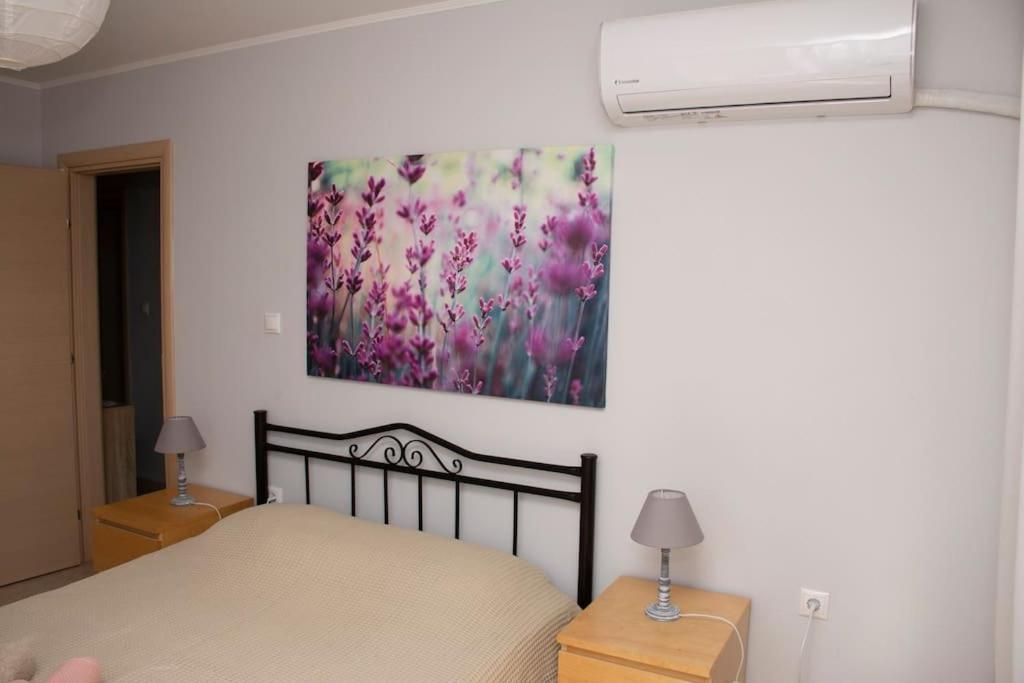 Apartament Anadora 2: Hospitable Stone House With Yard Aleksandropolis Zewnętrze zdjęcie