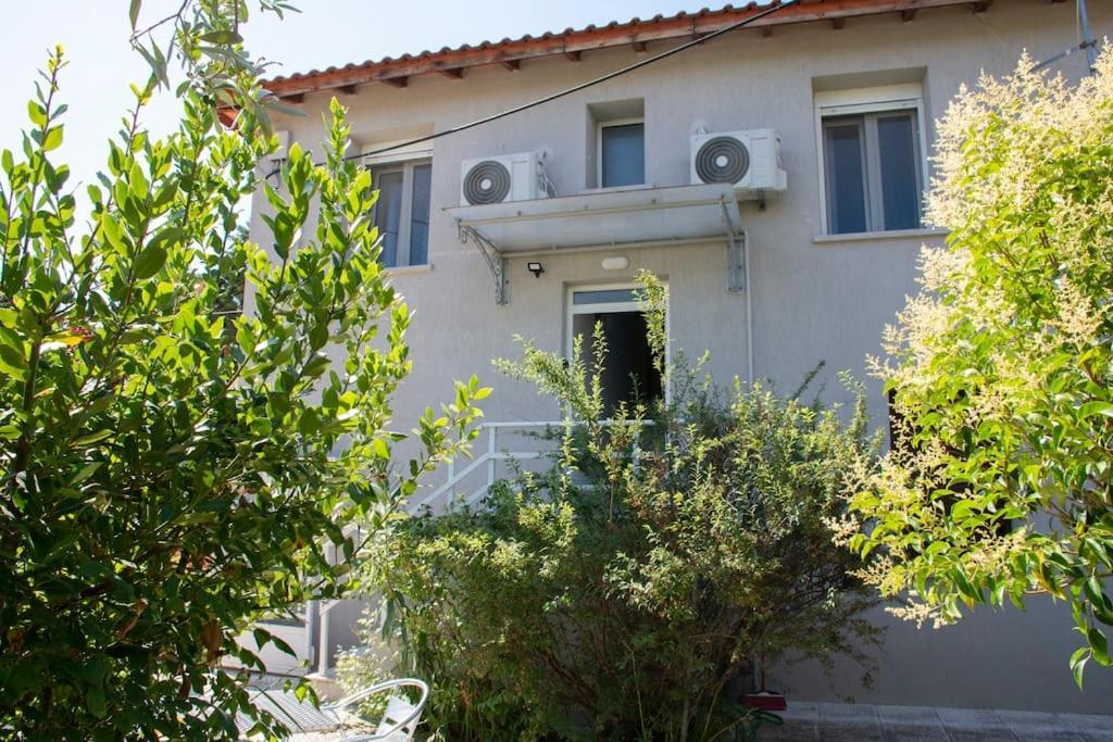 Apartament Anadora 2: Hospitable Stone House With Yard Aleksandropolis Zewnętrze zdjęcie
