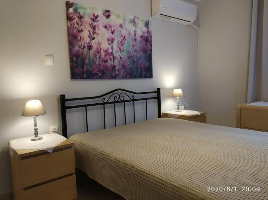 Apartament Anadora 2: Hospitable Stone House With Yard Aleksandropolis Zewnętrze zdjęcie