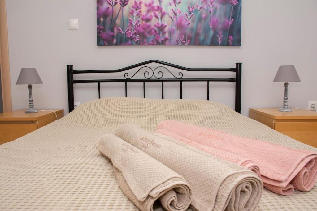 Apartament Anadora 2: Hospitable Stone House With Yard Aleksandropolis Zewnętrze zdjęcie