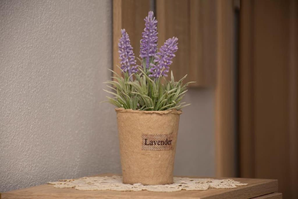 Apartament Anadora 2: Hospitable Stone House With Yard Aleksandropolis Zewnętrze zdjęcie